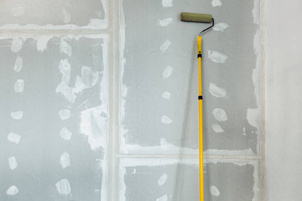 Best Crawl Space Mold Remediation  in Cedarburg, WI