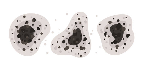 Best Mold-Related Health Consultation  in Cedarburg, WI