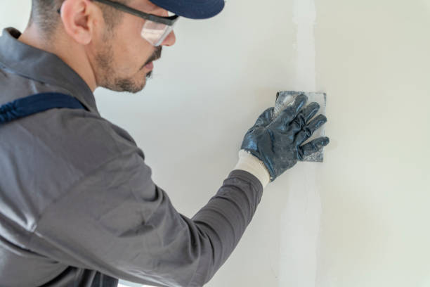 Best Commercial Mold Inspection  in Cedarburg, WI