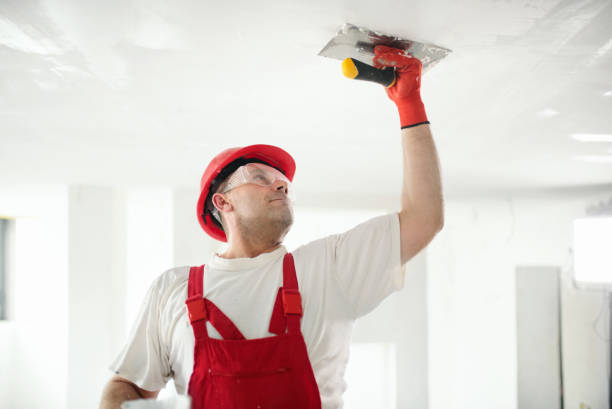 Best Residential Mold Inspection & Testing  in Cedarburg, WI
